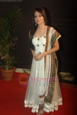 Natasha Sharma at Gold Awards in Filmcity, Mumbai on 18th June 2011 (230).JPG